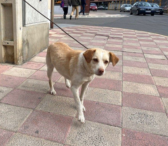 F4DC07E9 0B70 472F 800A A91B70741EA2