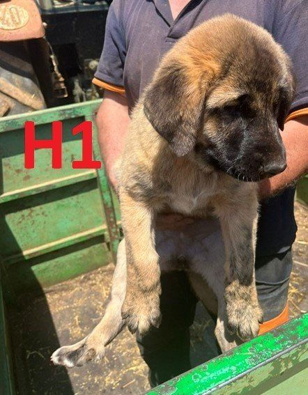 photo 2024 06 27 13 48 18 1