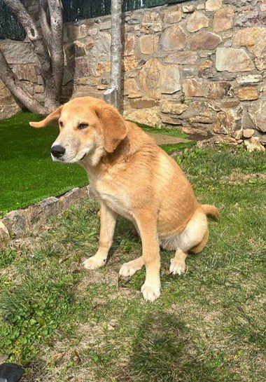 PHOTO 2025 02 25 12 51 04