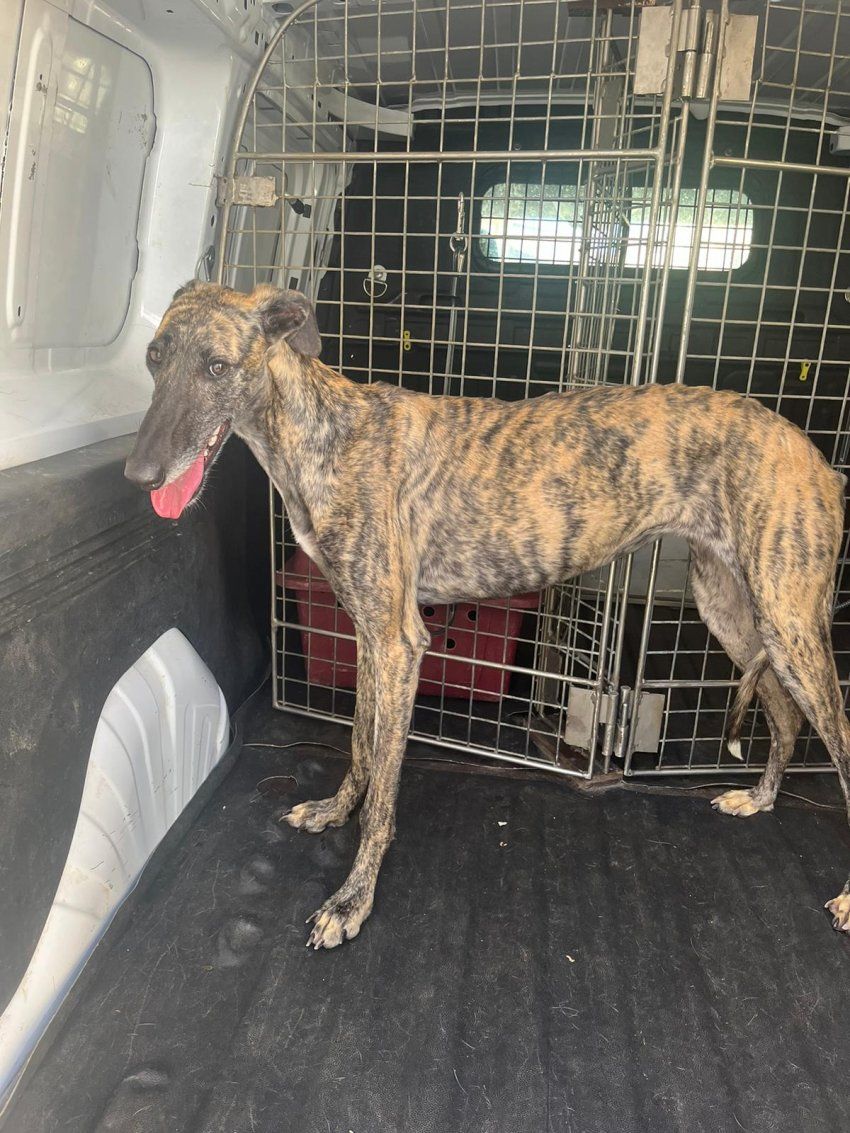 PHOTO 2024 11 06 13 22 41