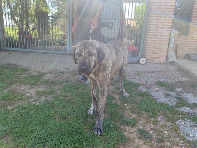 IMG 0375(1)