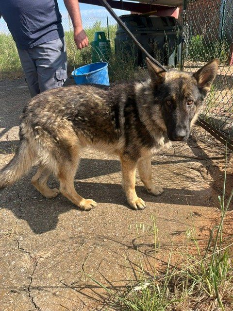 PHOTO 2025 06 06 10 32 49