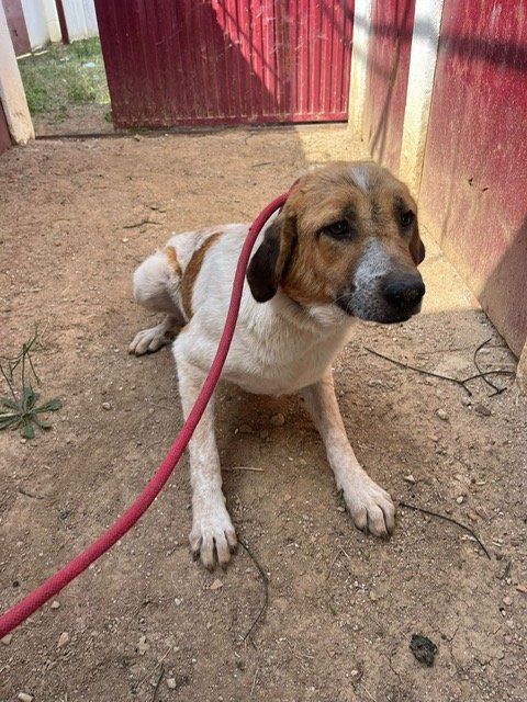 PHOTO 2025 06 09 11 09 03 (1)