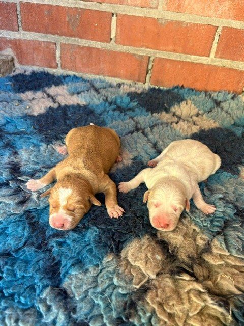 PHOTO 2025 09 18 12 57 23