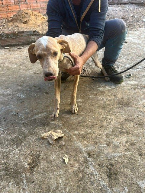 PHOTO 2025 09 16 11 02 19