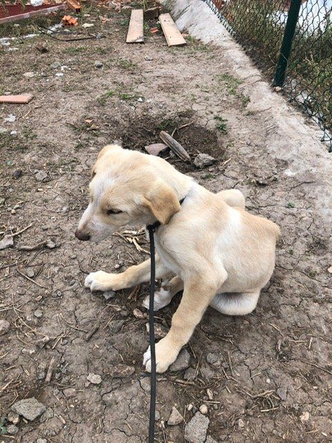 PHOTO 2021 10 01 10 46 49