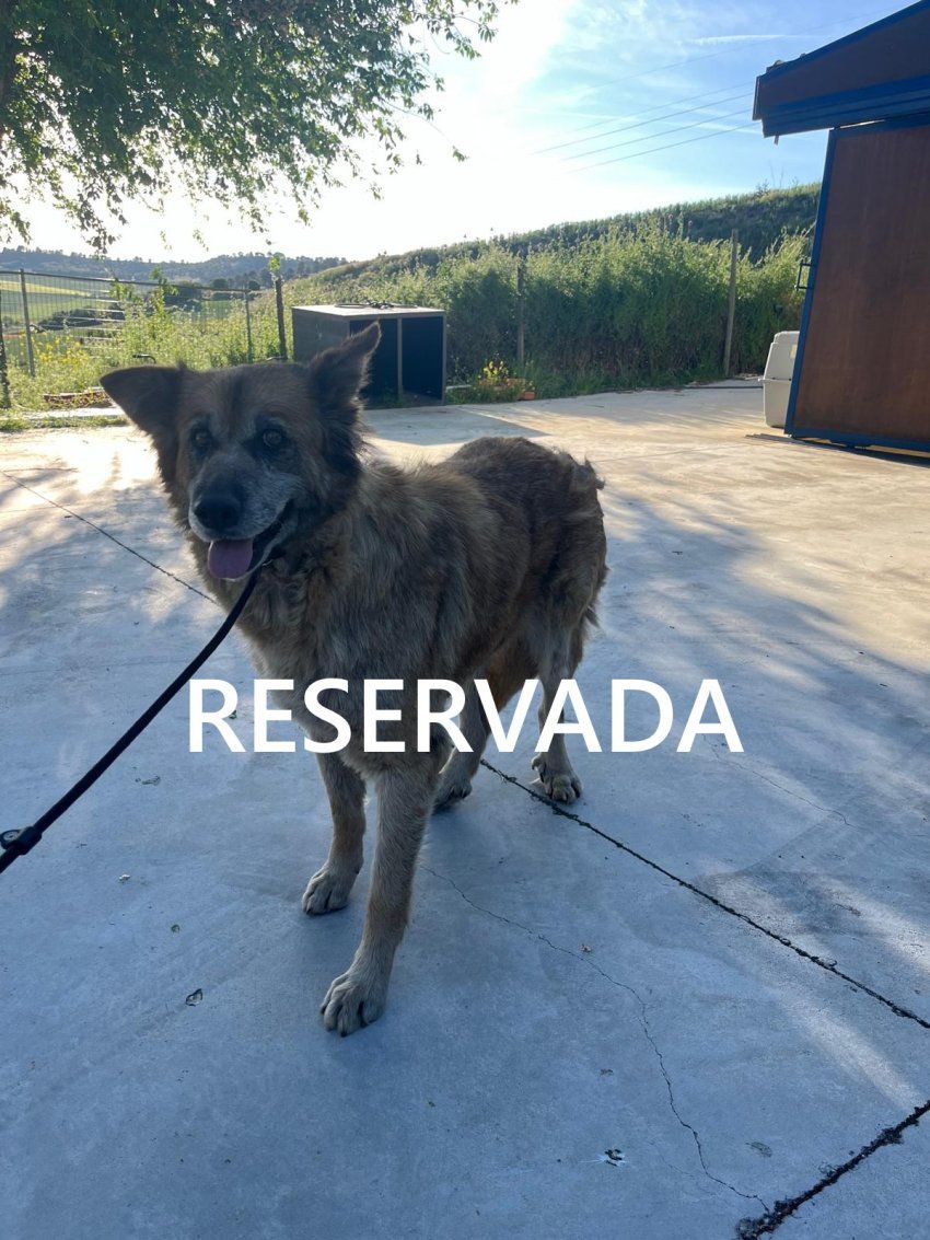 photo 2025 05 20 20 17 27 1