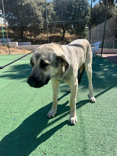 PHOTO 2025 09 06 12 02 59