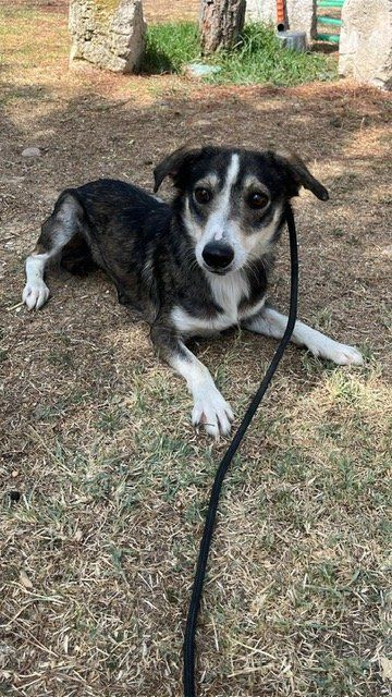 PHOTO 2025 08 25 12 50 22