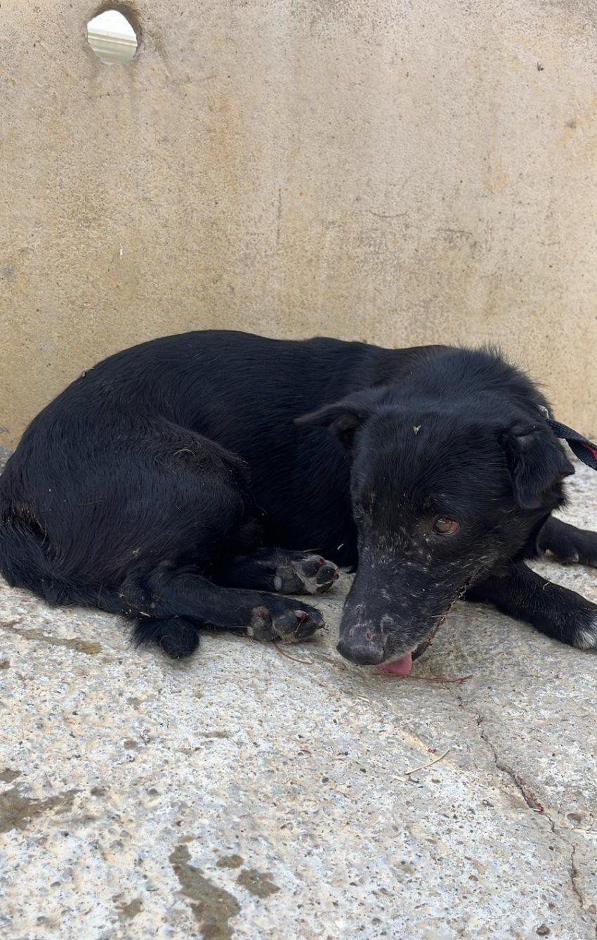 PHOTO 2025 08 25 12 55 49