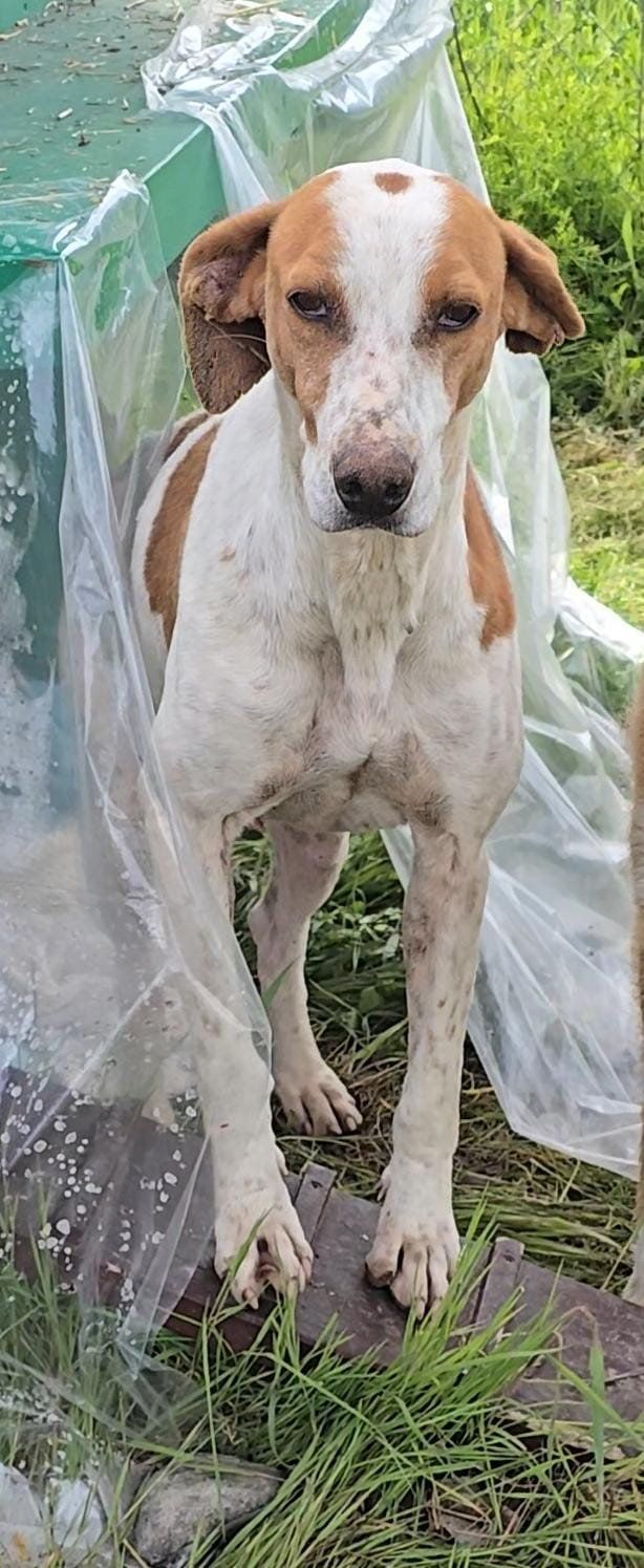 PHOTO 2025 04 22 11 51 01