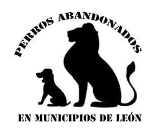 asociación de perros abandonados