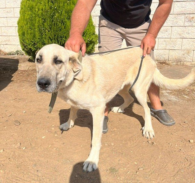 PHOTO 2025 08 07 12 56 33