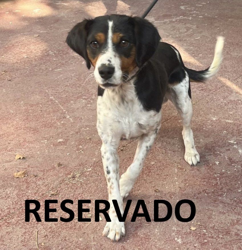 a34bce5a ac05 43a5 ae32 6d685d9ba00e