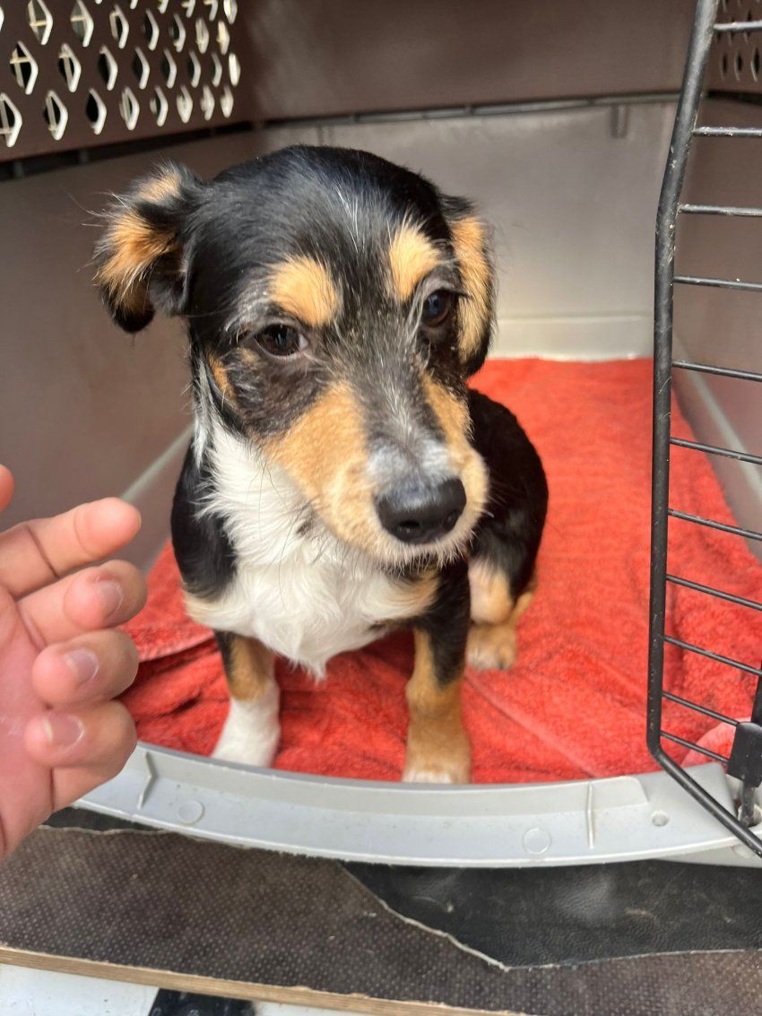 PHOTO 2024 11 12 12 12 28