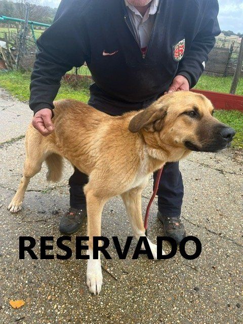 photo 2025 01 08 12 46 18 1