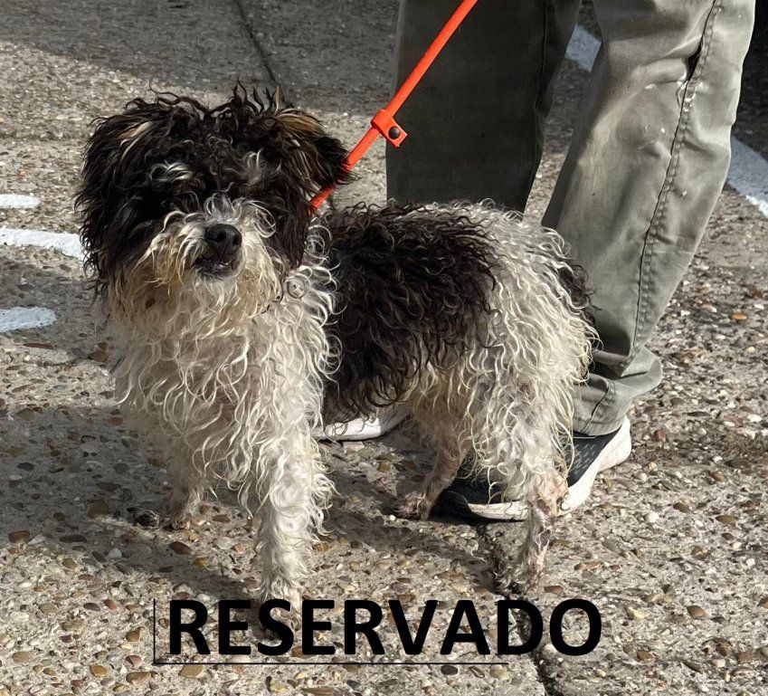 b92f7faf 63fa 4677 b761 0056da599f91