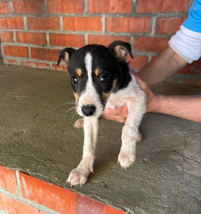 PHOTO 2024 04 30 14 30 55