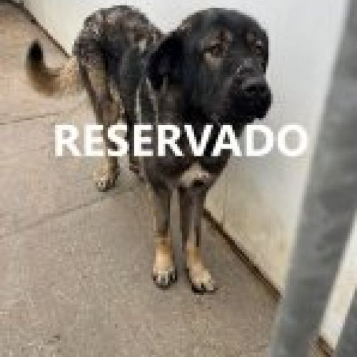 velver