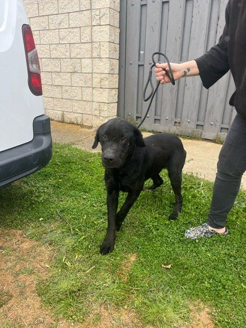 4d451edd 2ad5 43e1 826a de7448148ff2