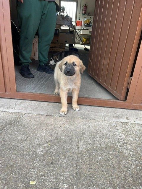 382cae6a 502d 44b3 848b 1fa43e306d44