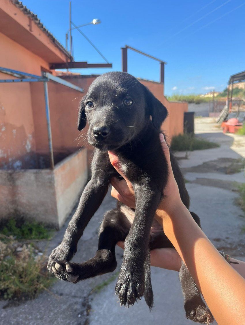 PHOTO 2024 07 11 11 47 54