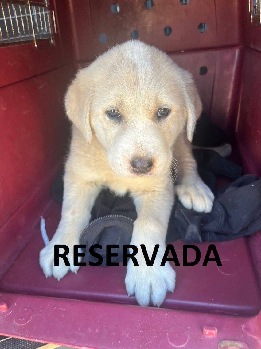 photo 2024 11 02 11 28 31