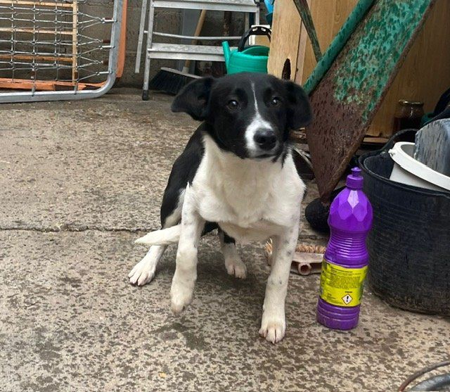 PHOTO 2025 01 08 11 32 36