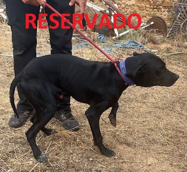 e022b34b9ccaa5365aedda25f2460b7e95b8a42c