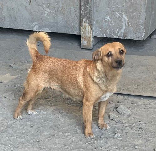 PHOTO 2024 08 21 13 29 56