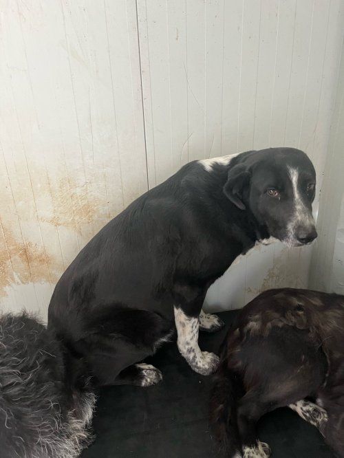 photo 2025 05 14 12 59 33