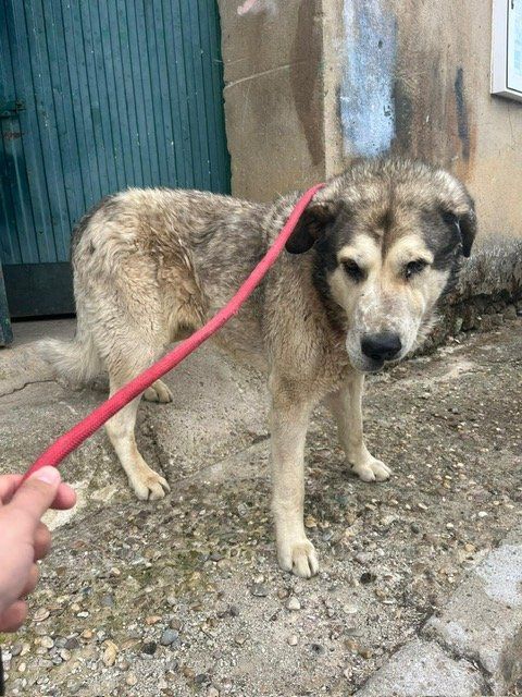 PHOTO 2024 04 30 10 46 01