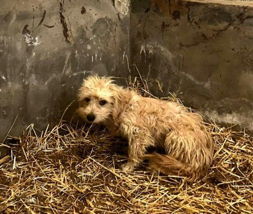 PHOTO 2024 10 11 13 21 33