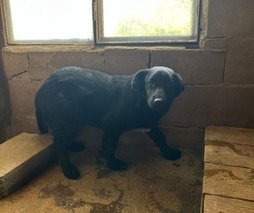 PHOTO 2023 05 12 17 10 29