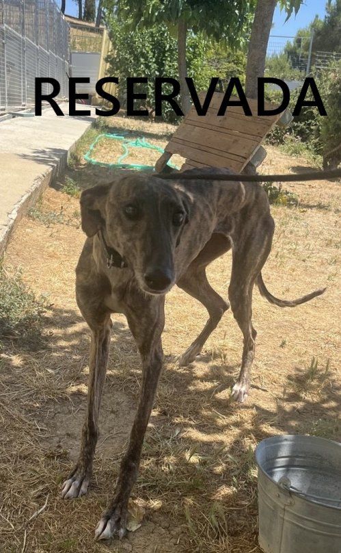 a5cfb770 10b8 4835 9c58 ed73707d1e2a