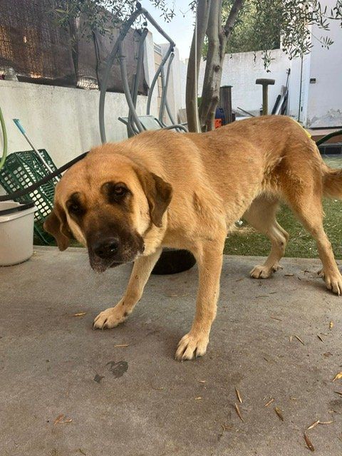 PHOTO 2024 08 20 11 12 21