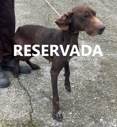 251f01c6 d628 455f 9f3e 910ffa391ce3