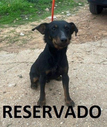 photo 2024 11 15 11 16 54