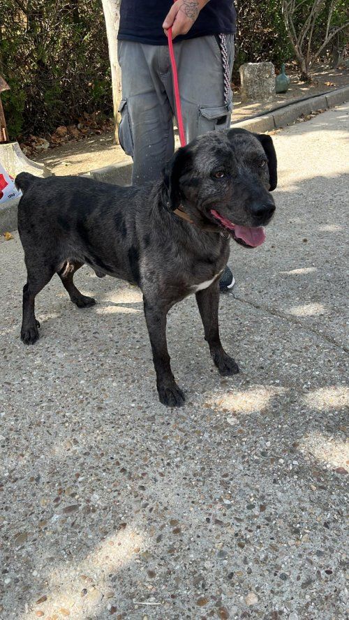 PHOTO 2025 08 30 12 27 04