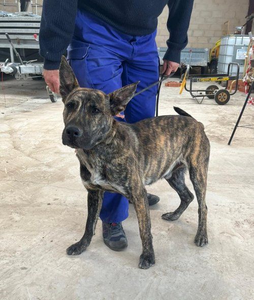 PHOTO 2024 05 03 19 37 36