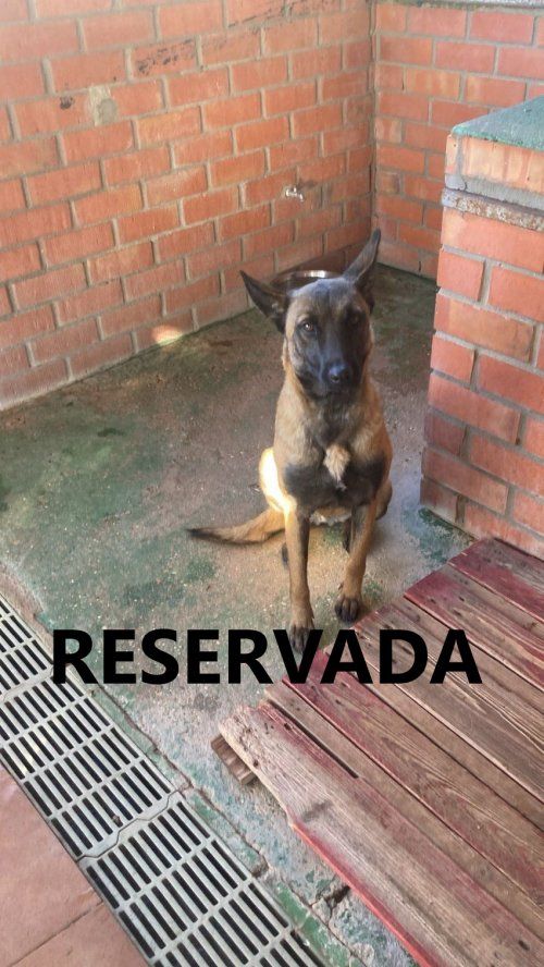 3d09720a 3954 4df8 b8a3 7227c6a5c4de 1