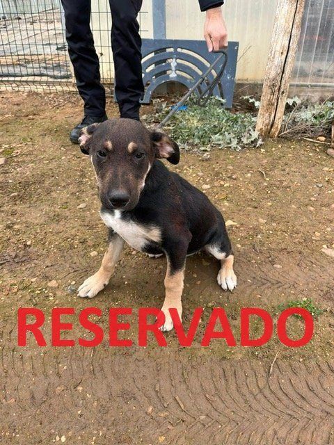 Valencia de Don Juan LEÓN)