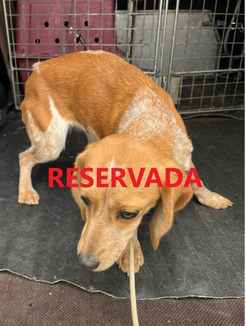 photo 2024 12 28 11 40 35