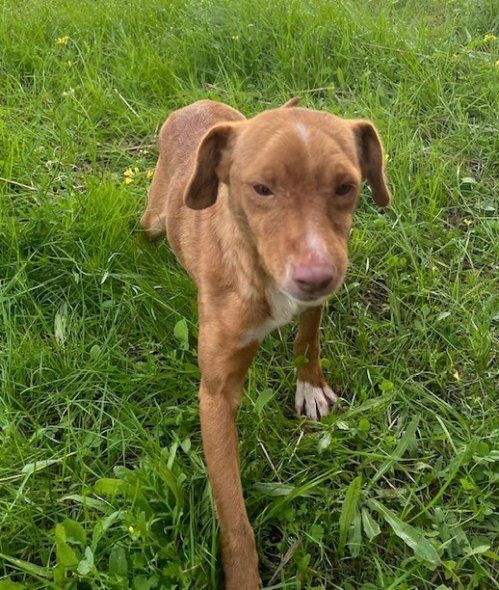 0180d4d7 19f5 47b4 bbc9 d0a2dba63c73