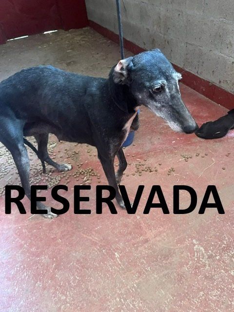 photo 2025 08 11 10 32 03