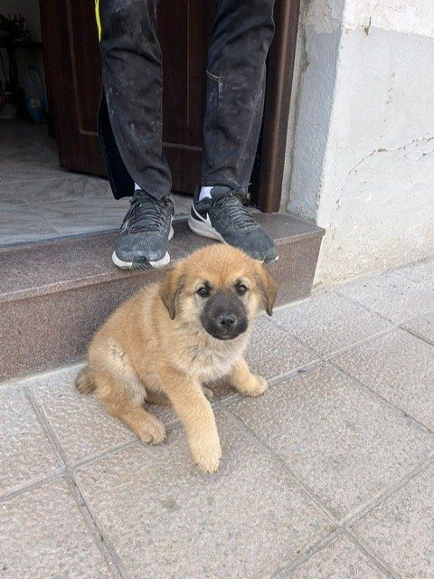 d93eedd6 eb95 4aaa ae71 a9aaebf85748