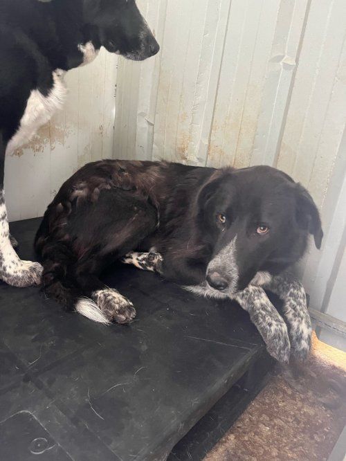 photo 2025 05 14 12 59 33 1