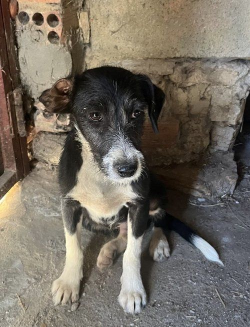 c707b1d6 fdaa 4b4d a9f5 e9e272d9fa5b