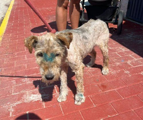 PHOTO 2025 08 04 14 01 09