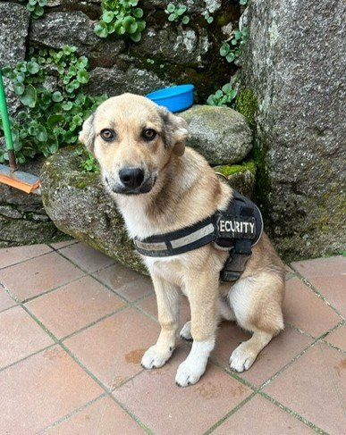 PHOTO 2025 04 14 11 20 22